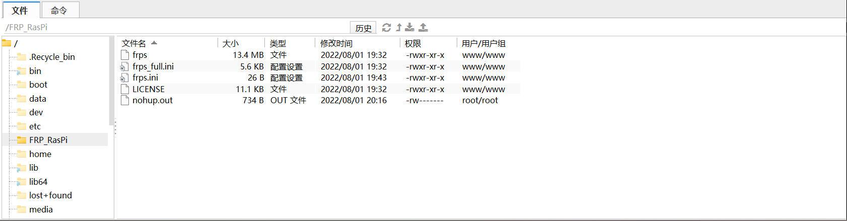 frp内网渗透—实现ssh访问异地树莓派（树莓派raspbian+腾讯云contos）插图